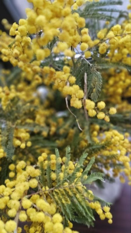 Неожиданный Кулинарный Хит: Завтра Сделаем Блюдо Мечты