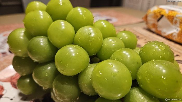 Виноград «Яблочный»: удивительный вкус и отличные урожаи