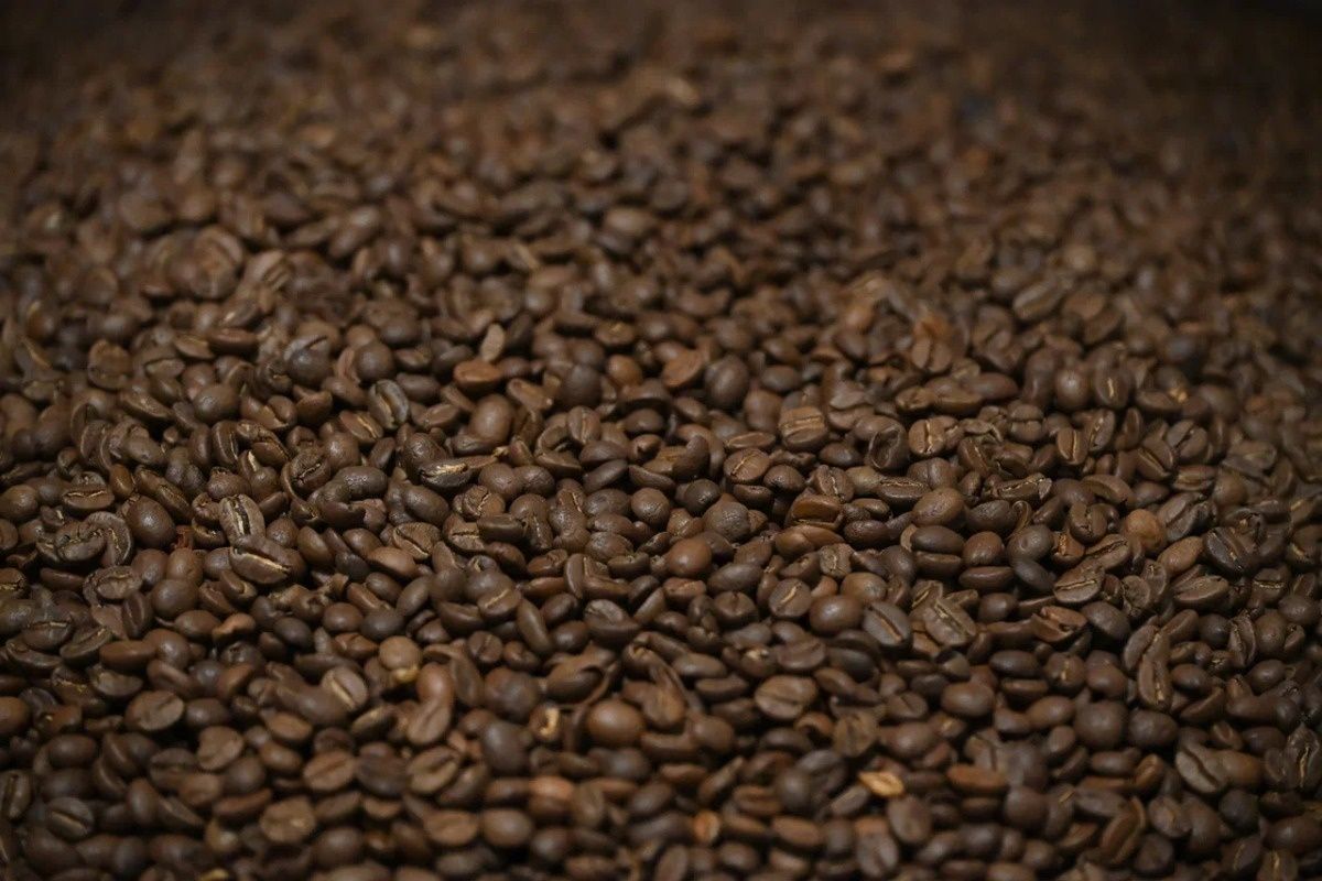 Кофе и чай: как эти напитки могут защитить ваш мозг