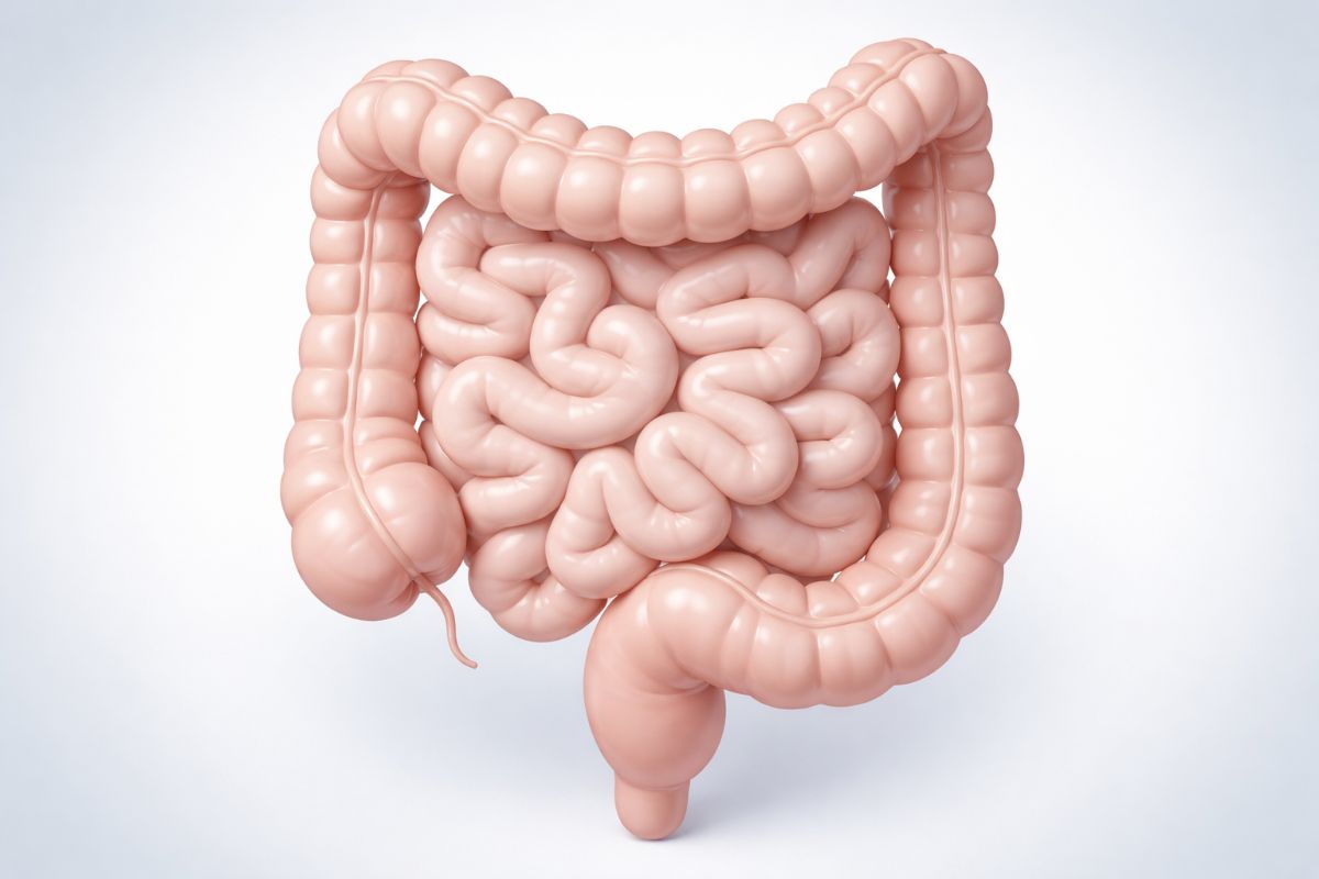 Продукты, которые подрывают здоровье кишечника: мнение эксперта
