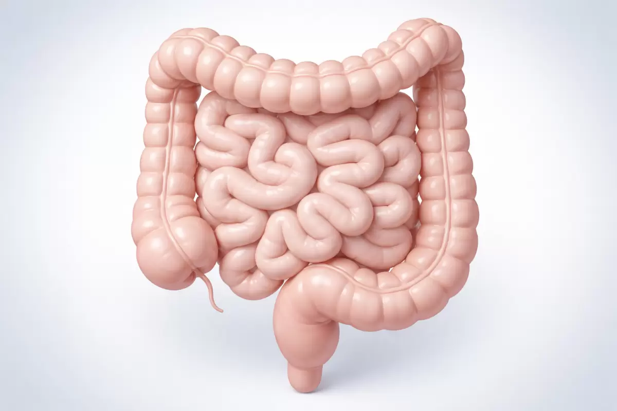 Продукты, которые подрывают здоровье кишечника: мнение эксперта