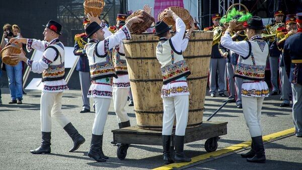 Молдова: новые горизонты в производстве и экспорте вина в 2024 году