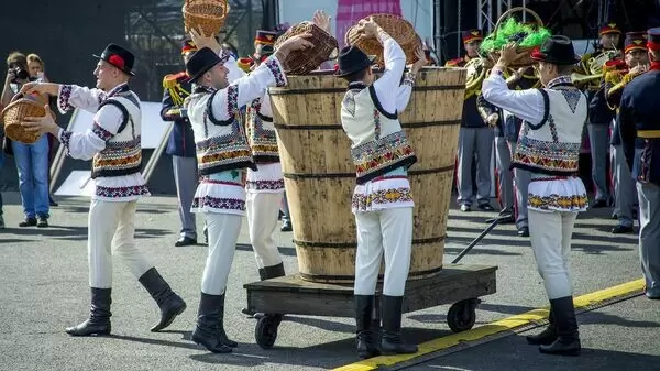 Молдова: новые горизонты в производстве и экспорте вина в 2024 году