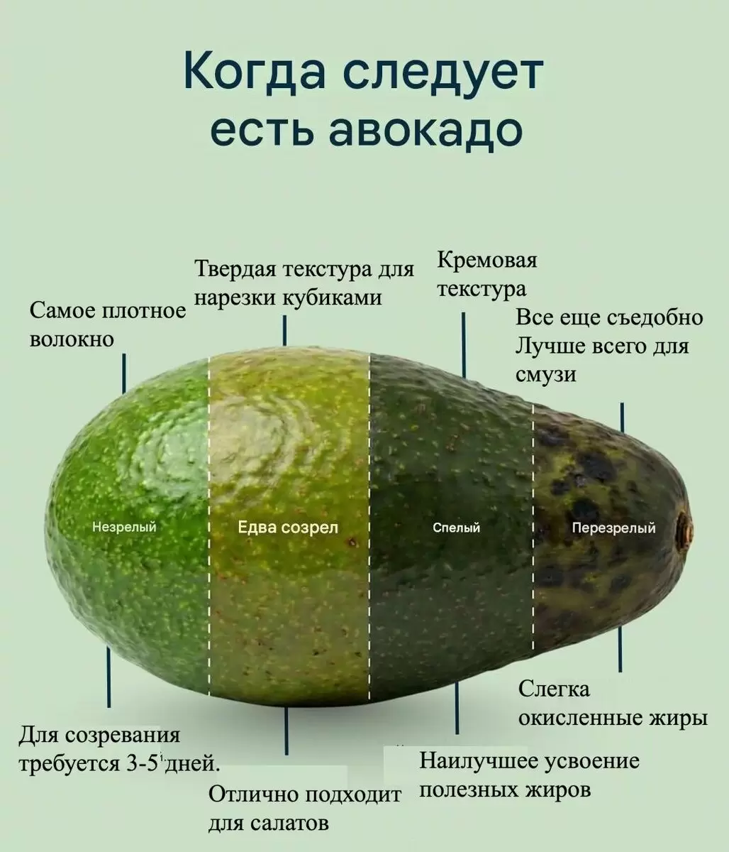 Как выбрать авокадо: секреты спелости и пользы