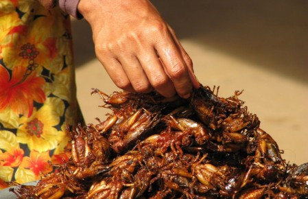 ��� ��������: ����� �� ���������, ����� � ������������� ����