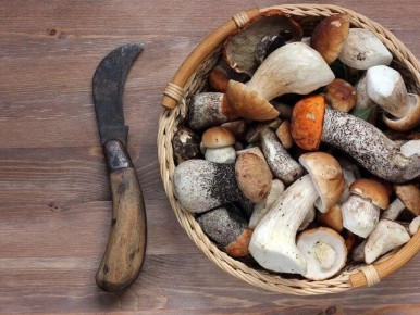 ������� ���: ������� ����� � �������� ����� ���������� �������� ��������� ������ ������