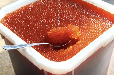 �������� � ������� �����: �������� �� ����� �����