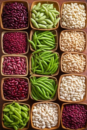 ����������� � ������: ��� ������� � �� ���������� ���� � ������������ �����