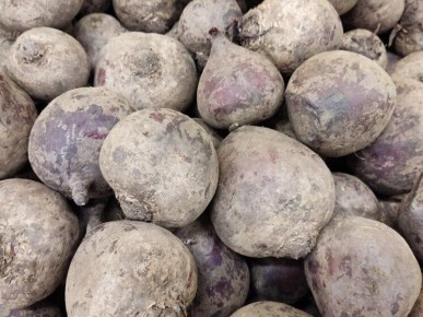 ���� �� ������: �������� ������ �������� ��� ��������