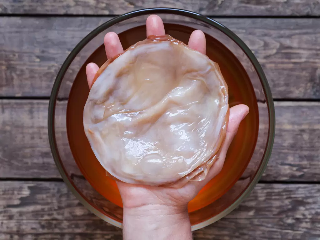 Чайный гриб: увлекательный мир комбучи и её польза для здоровья