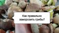 Секреты заморозки грибов: как сохранить лесные дары на всю зиму