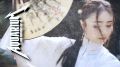 Аквариумные гейши в деле: креветки-фильтраторы как чистые ветерки воды