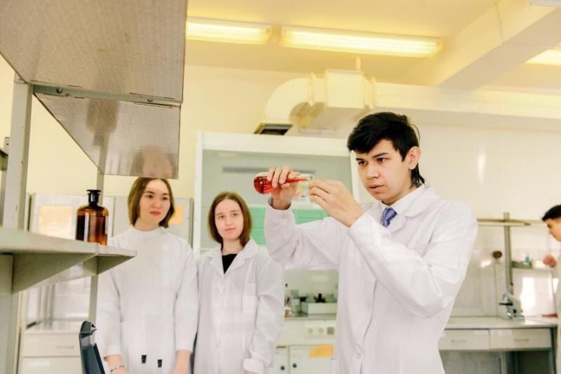 Паштет «Арктический»: источник здоровья и вкуса из северных широт