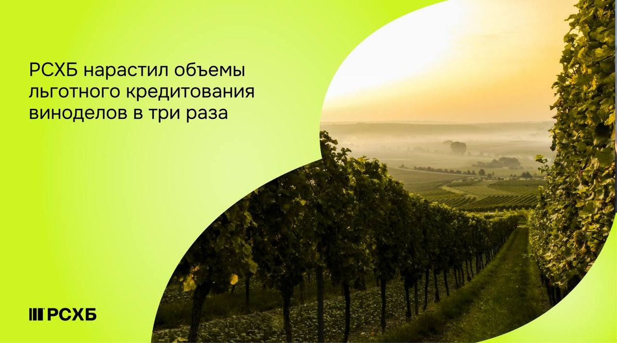 Виноделие России набирает темпы: льготное кредитование от РСХБ увеличилось на 300%