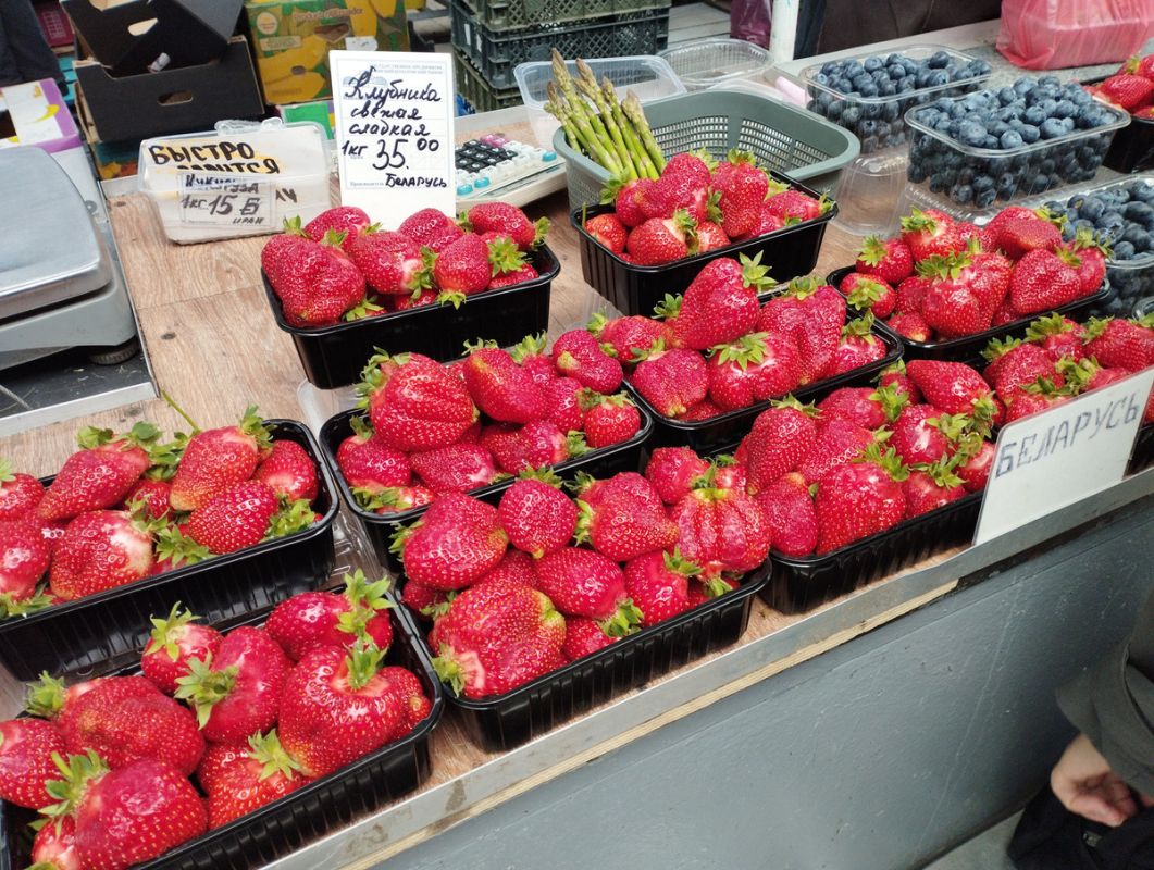 Сезон белорусской клубники стартовал, но цены шокируют